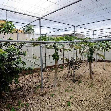بيت للعطل An Oasis With Private Pool