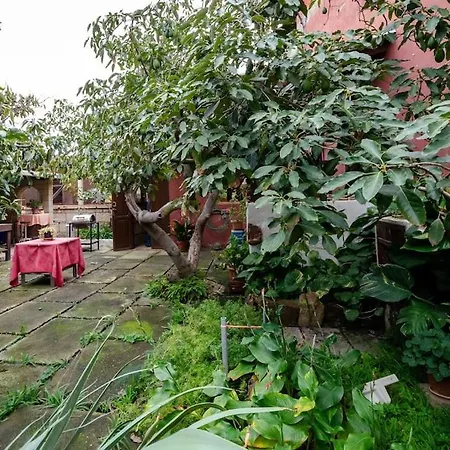 An Oasis With Private Pool بيت للعطل *